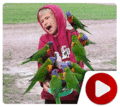 Parrot Attacks Man
